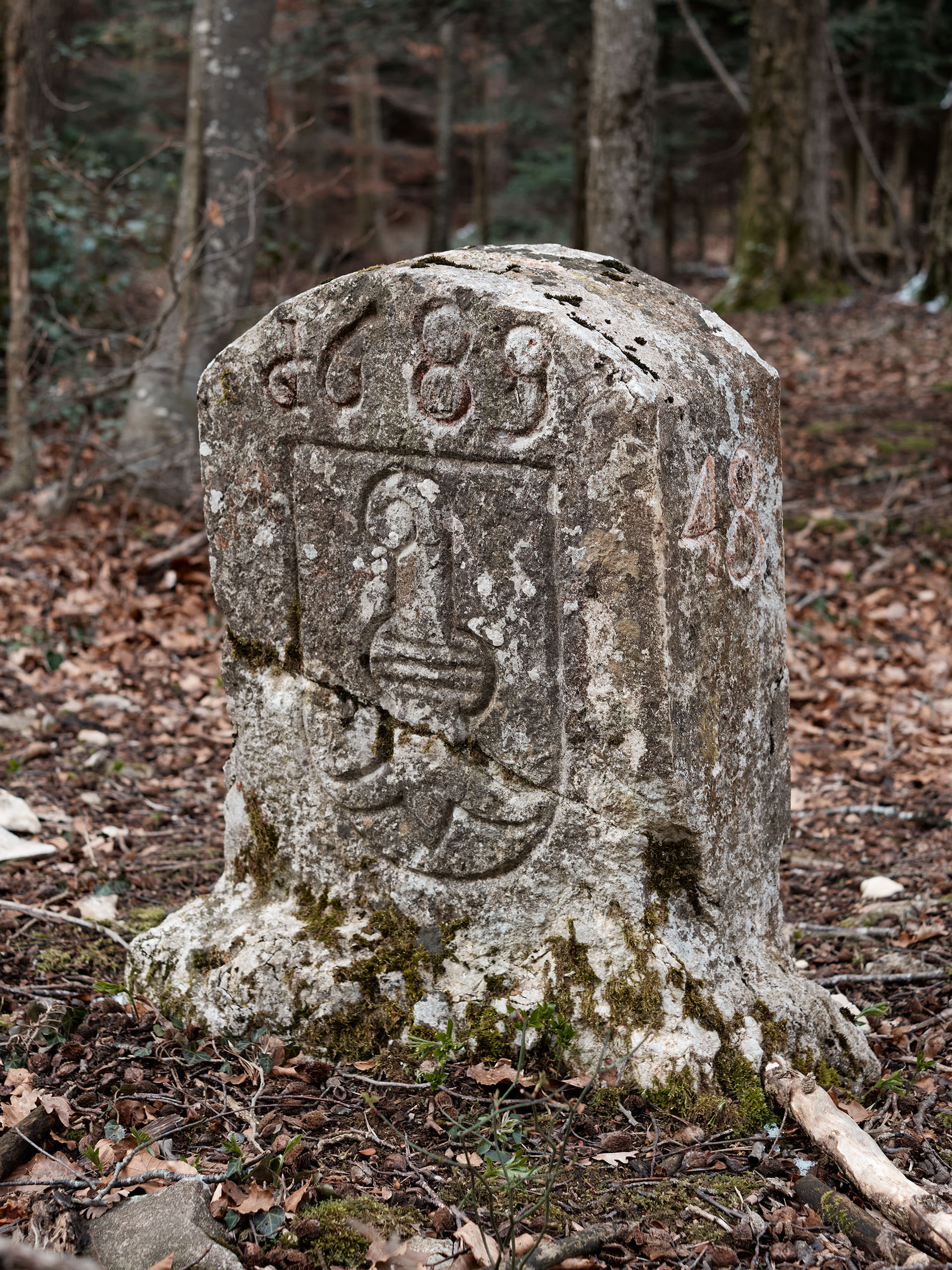 KdS Laufen · Roggenburg